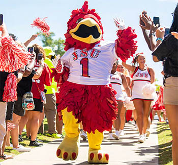 Cocky walking with fans