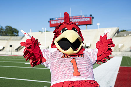 Cocky at Freshman Convocation